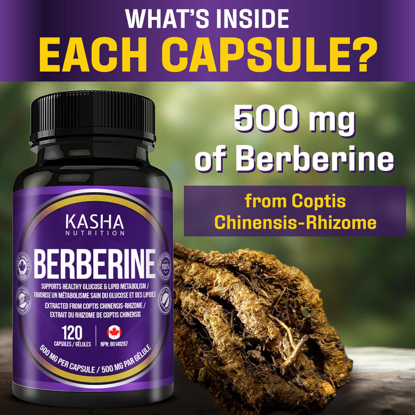 Maximum Strength Berberine Supplement 1000 mg Per Serving (500mg Per Capsule). Supports Healthy Glucose (Blood Sugar) and Lipid (Fats) Metabolism. Non-GMO, Vegan, Gluten-free. Bulk 120 Capsules. Proudly Canadian. Easy to Swallow. Kasha Nutrition