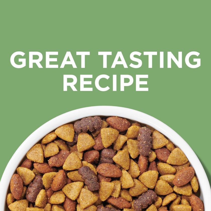Dog Chow Dry Dog Food, Natural Farm-Raised Chicken - 19.3 kg Bag 🍁 All In One Marketplace Canada