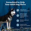 Blue Buffalo Wilderness with Chicken High-Protein Grain-Free Adult Dry Dog Food, 34g Protein, Supports Immunity with Antioxidant-Rich LifeSource Bits, Promotes Healthy Muscle Development, 24 lbs. 🍁 All In One Marketplace Canada