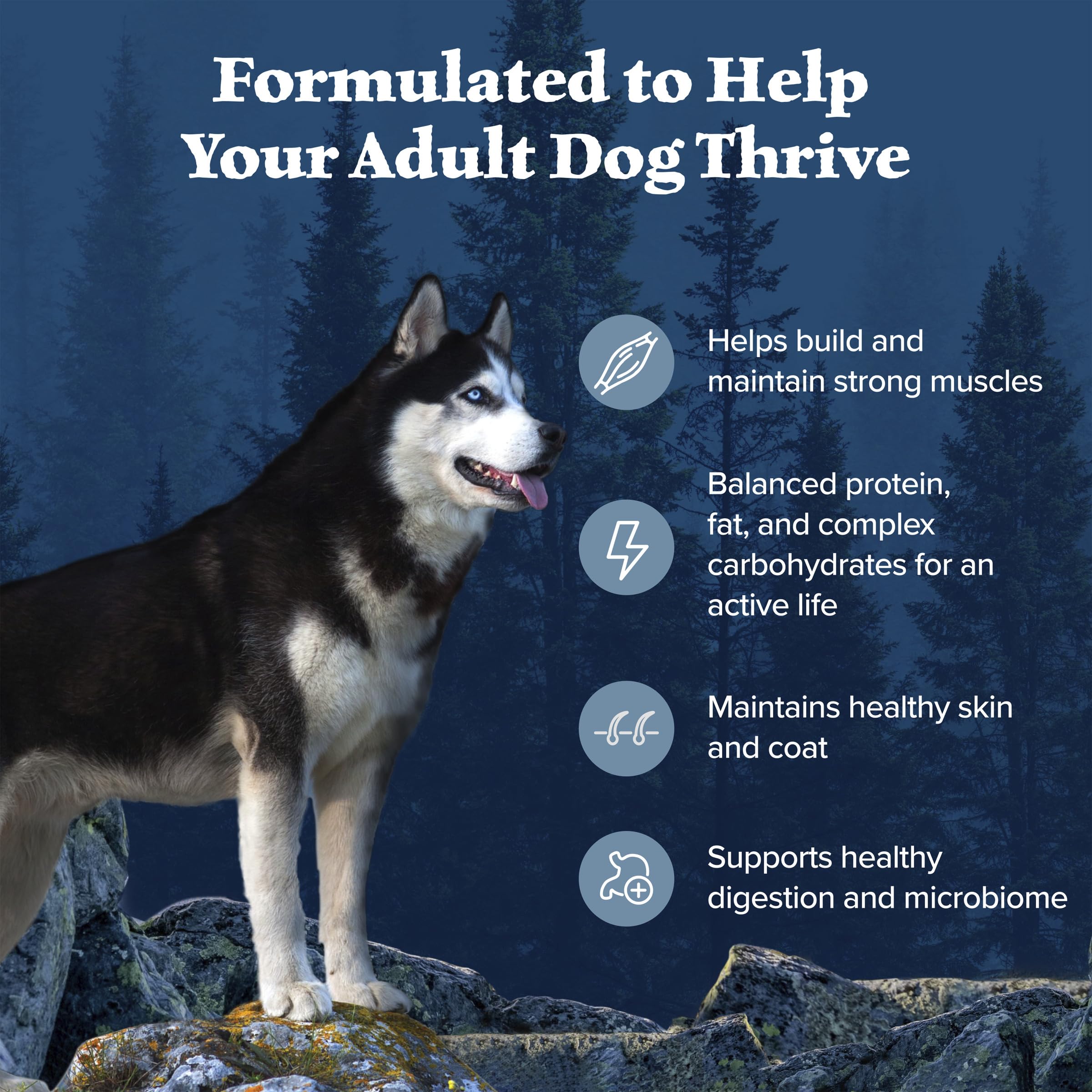 Blue Buffalo Wilderness with Chicken High-Protein Grain-Free Adult Dry Dog Food, 34g Protein, Supports Immunity with Antioxidant-Rich LifeSource Bits, Promotes Healthy Muscle Development, 24 lbs. 🍁 All In One Marketplace Canada