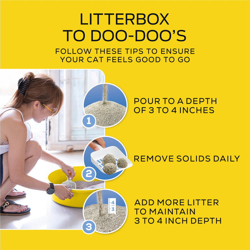 Purina Tidy Cats Lightweight, Low Dust, Clumping Cat Litter Odor Control 24/7 Performance Multi Cat Litter - 17 lb. Box 🍁 All In One Marketplace Canada