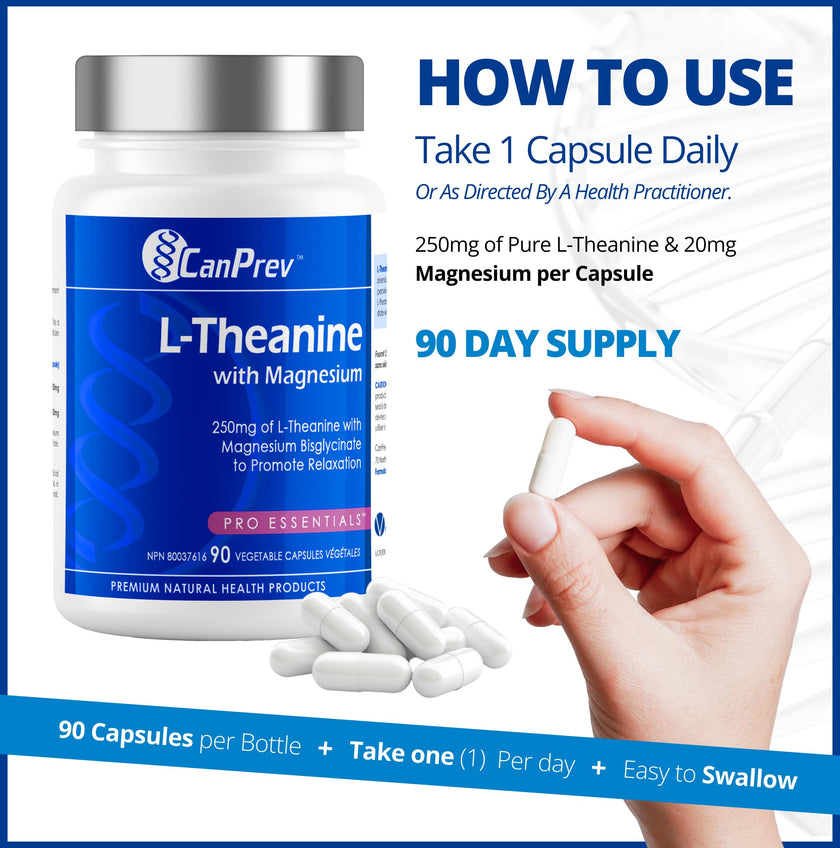 CanPrev L-Theanine with Magnesium, 90 Capsules 90-Day Supply - Promote Relaxation and Calmness - Without Drowsiness - Synergistic Blend for Well-being Management - Vegan, Non-GMO and Gluten-Free 🍁 All In One Marketplace Canada