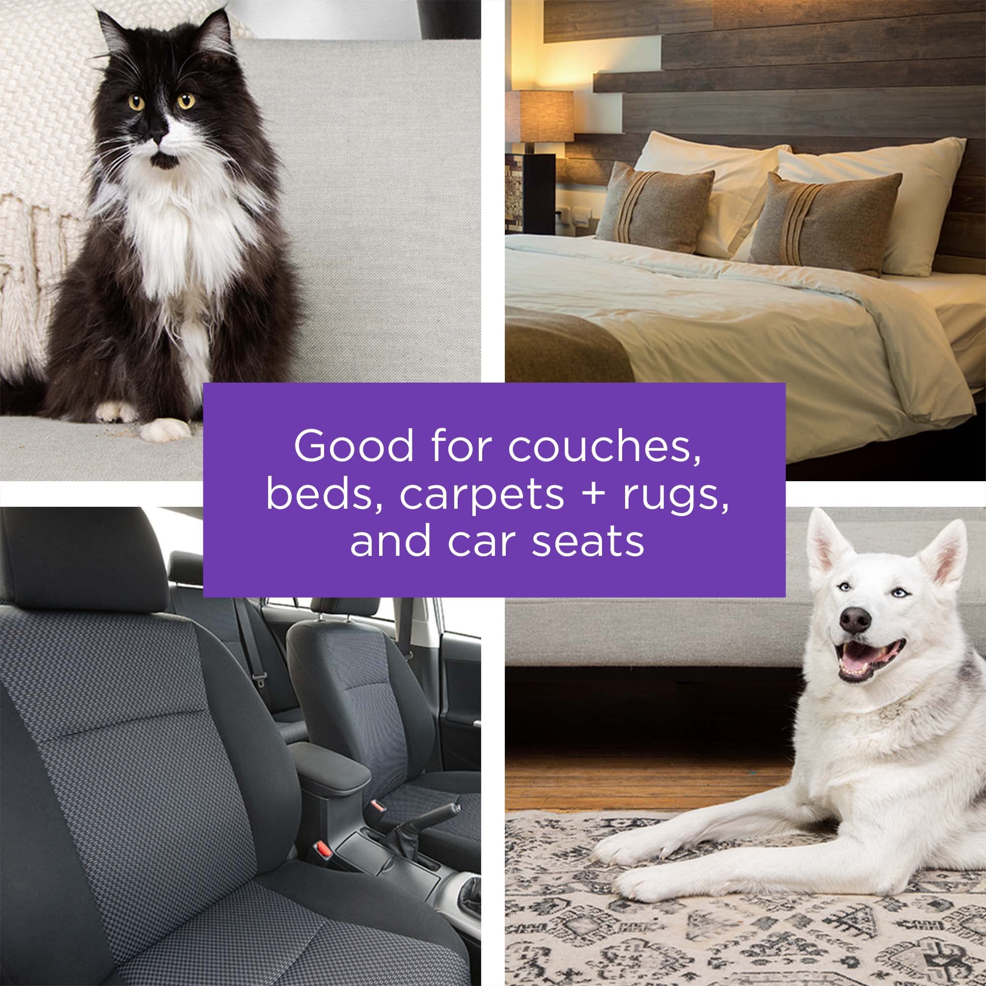 BLACK+DECKER Pet Hair Remover, Roller, Remove Dog Hair and Cat Hair Easily (HMSCT0001) 🍁 All In One Marketplace Canada