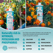 MARPHYL All-Purpose Plant Food – Organic Nutrient-Rich Fertilizer & Soil Enhancer for Indoor & Outdoor Flowers, Vegetables, Succulents, Bamboo & Hydroponics 🍁 All In One Marketplace Canada