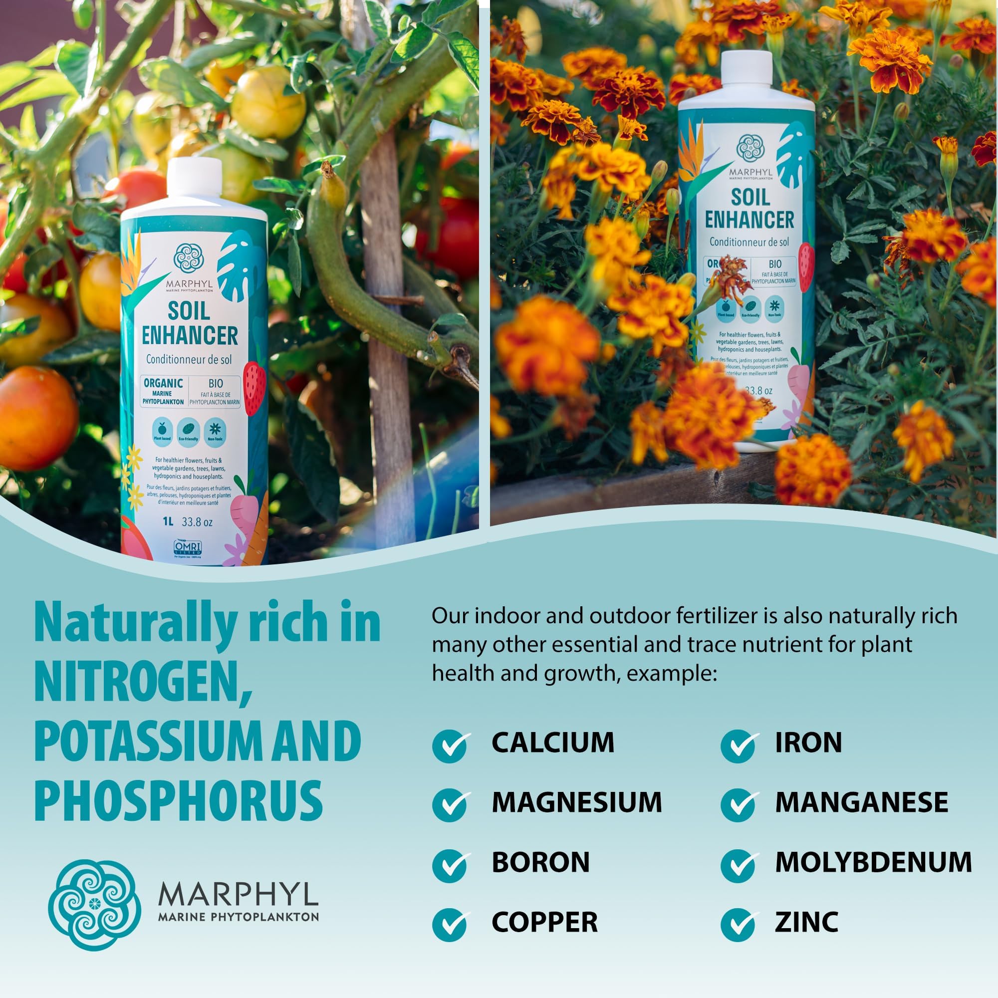 MARPHYL All-Purpose Plant Food – Organic Nutrient-Rich Fertilizer & Soil Enhancer for Indoor & Outdoor Flowers, Vegetables, Succulents, Bamboo & Hydroponics 🍁 All In One Marketplace Canada