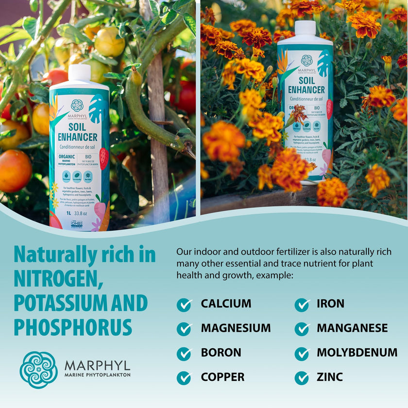 MARPHYL All-Purpose Plant Food – Organic Nutrient-Rich Fertilizer & Soil Enhancer for Indoor & Outdoor Flowers, Vegetables, Succulents, Bamboo & Hydroponics 🍁 All In One Marketplace Canada