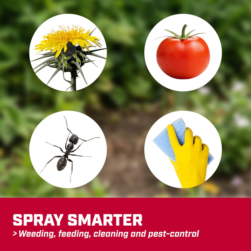 Chapin 20004 Sprayer Tank, Lawn and Garden, Hand Pump Pressured, Anti-Clog Filter, Adjustable Spray Nozzle, Spray Plants, Watering, Weeds, Fertilizer and Pests, White, 1 Gallon (4.5 Liters) 🍁 All In One Marketplace Canada
