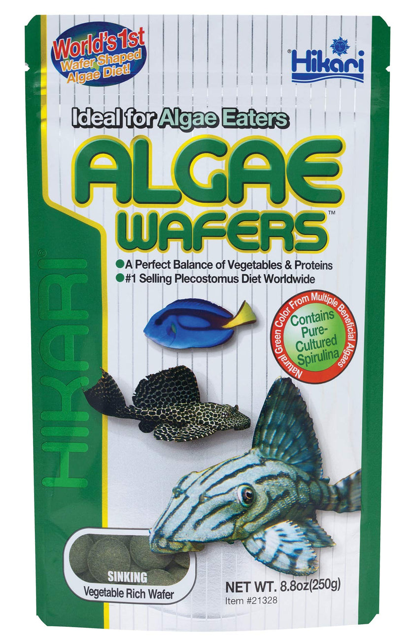 Hikari Tropical Algae Wafers Fish Food for Plecostomus & Algae Eaters, 8.8 oz (250g) 🍁 All In One Marketplace Canada
