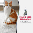 Nature’s Miracle Advanced Stain and Odor Eliminator Cat, 32 Ounces, 1 Gallon, Pour, Fresh Scent, Severe Mess Enzymatic Formula For Tough Pet Messes 🍁 All In One Marketplace Canada
