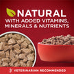 Purina ONE True Instinct Wet Dog Food, in Gravy Variety Pack 368g (6 Pack) 🍁 All In One Marketplace Canada
