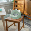 Ingenuity: ity by Ingenuity My Spot Easy-Clean Baby Booster Feeding Chair, 3-Point Harness, Washable Removable Straps - Green 🍁 All In One Marketplace Canada