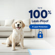Puppy Pads Pet Pee Pads for Dogs & Puppy Training - 100 Count - Potty Pads for Dogs 22