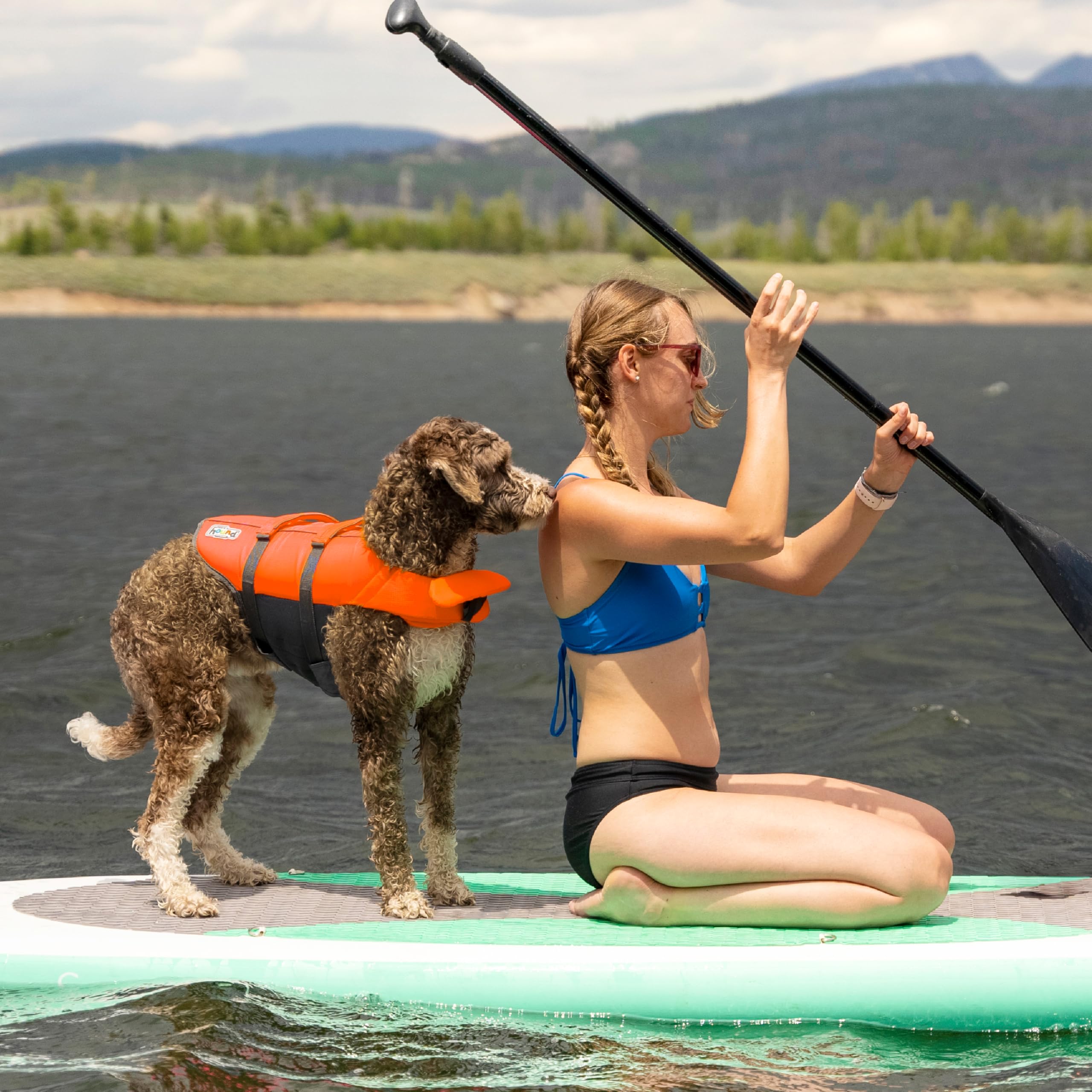 Outward Hound Granby Splash Orange Dog Life Jacket, Medium 🍁 All In One Marketplace Canada