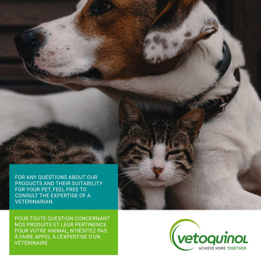 Vetoquinol Hairball-EZ – Veterinary Health Product – Helps Minimize Hairballs in Cats (Tuna) 🍁 All In One Marketplace Canada