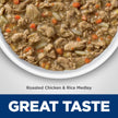 Hill's Science Diet Senior 7+ Healthy Cuisine Canned Cat Food, Roasted Chicken & Rice Medley, 2.8 oz, 24 Pack Wet cat Food 🍁 All In One Marketplace Canada