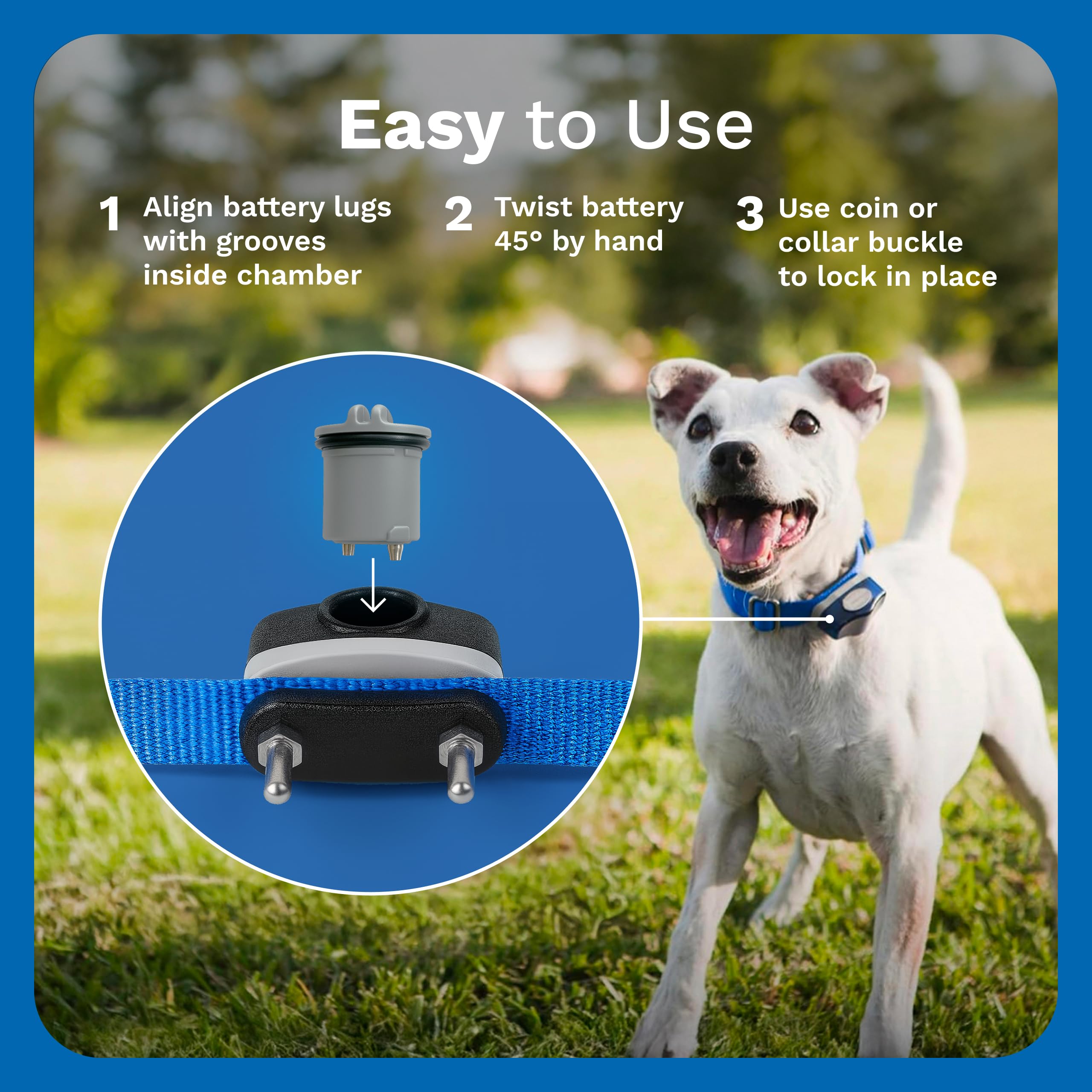 INVISIBLE FENCE Brand Power Cap Batteries for Microlite and Microlite Plus Computer Collar Units – 2-Pack – Also Compatible for MaxDog and MaxDog Plus Invisible Fence Dog Collars 🍁 All In One Marketplace Canada