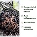 St. Francis Herb Farm - Chaga Mushroom (60caps)
