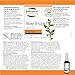 St. Francis Herb Farm - Throat Spray (30ml)