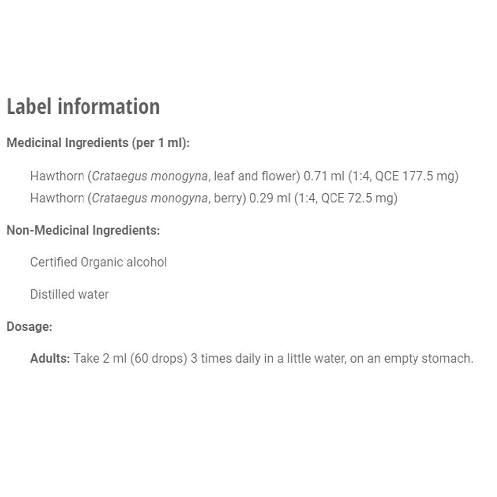 St. Francis Herb Farm - Elderberry Cough Syrup - ADULTS (120ml)
