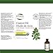 St. Francis Herb Farm - Castor Oil (500ml)