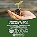 St. Francis Herb Farm - Castor Oil (500ml)