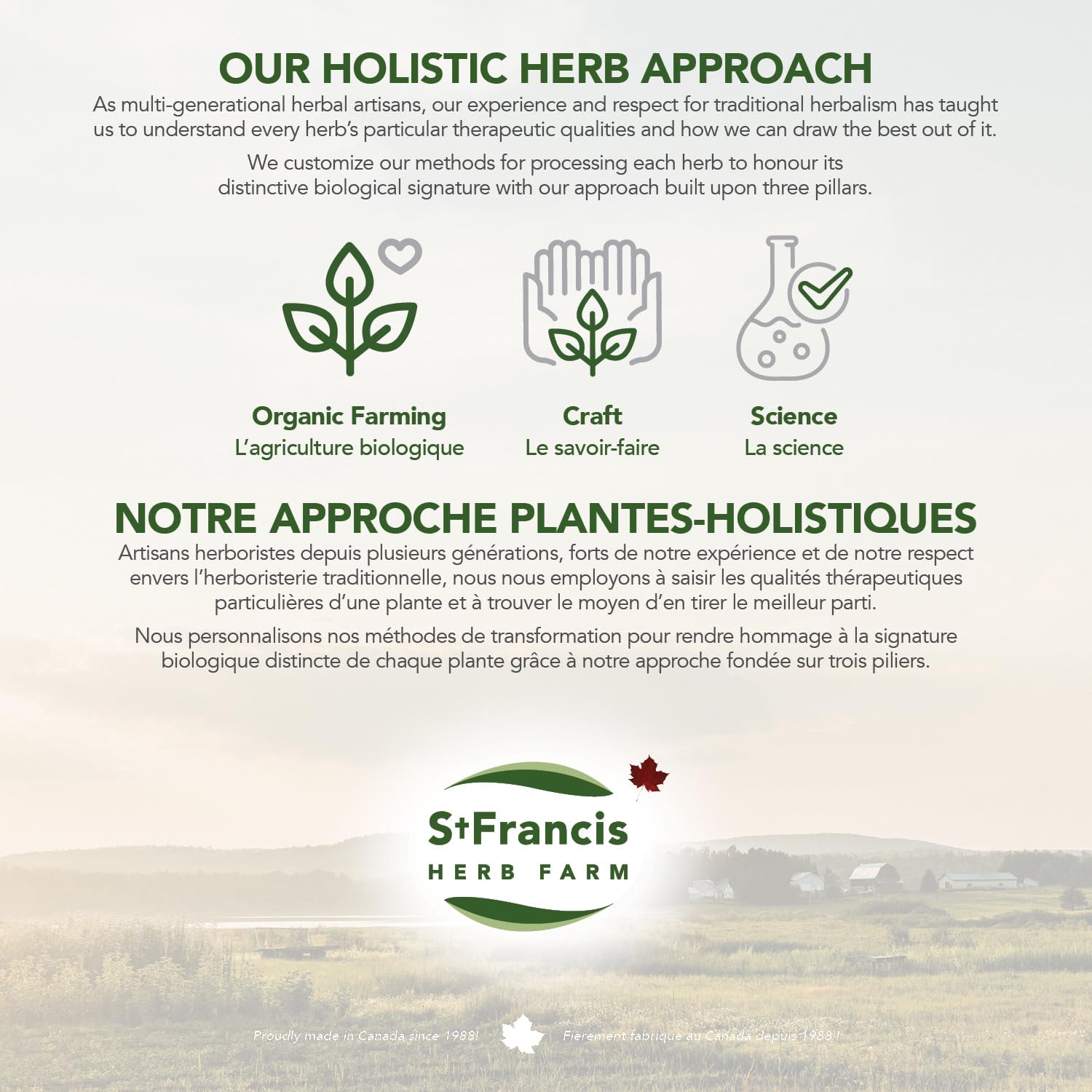 St. Francis Herb Farm - St. John's Wort Oil (50ml)
