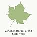 St. Francis Herb Farm - Rose Hip Oil (50ml)