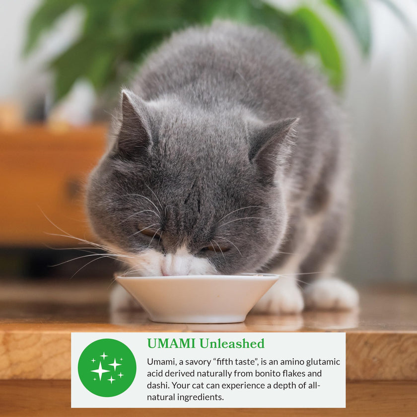 INABA Dashi Delights for Cats, 70 gram Cup, 12 Cups Total, Seafood Variety 🍁 All In One Marketplace Canada