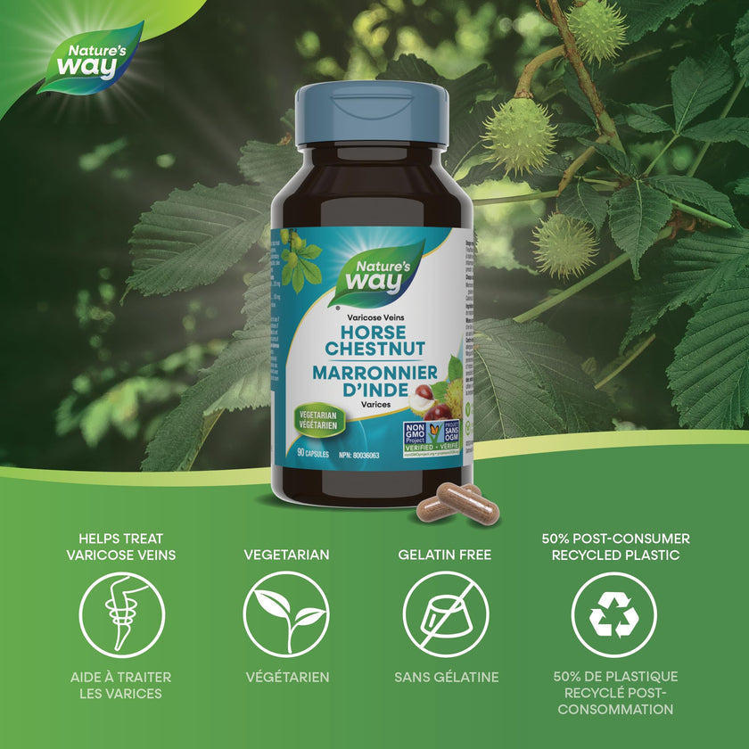 Nature's Way Horse Chestnut Supplement – Helps Treat Varicose Veins and Associated Symptoms – Digestive System Inflammation Relief – 100mg Calendula, 250mg Horse Chestnut – 90 Vegetarian Capsules 🍁 All In One Marketplace Canada