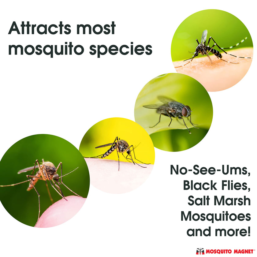 Mosquito Magnet OCTENOL3CAN Attractant For Mosquitoes and Flying Insect Traps 🍁 All In One Marketplace Canada