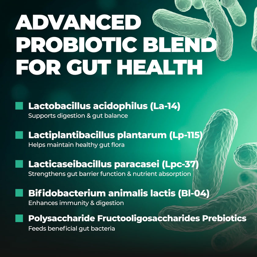 Probiotics Women & Men - 60 Billion CFU Probiotic + Prebiotics | Delayed Release Capsules Survive Stomach Acid for Max Potency | Digestive & Immune Support | Bloating & Gas Relief | Shelf Stable Lactobacillus Strains | Canadian Made, 3rd Party Tested