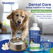 bluestem Dental Care Water Additive for Dogs – No Brushing Daily Teeth Cleaner – Pet Oral Rinse to Freshen Breath & Help Reduce Plaque – Flavorful & Easy Oral Hygiene (500 ml, Vanilla Mint) 🍁 All In One Marketplace Canada