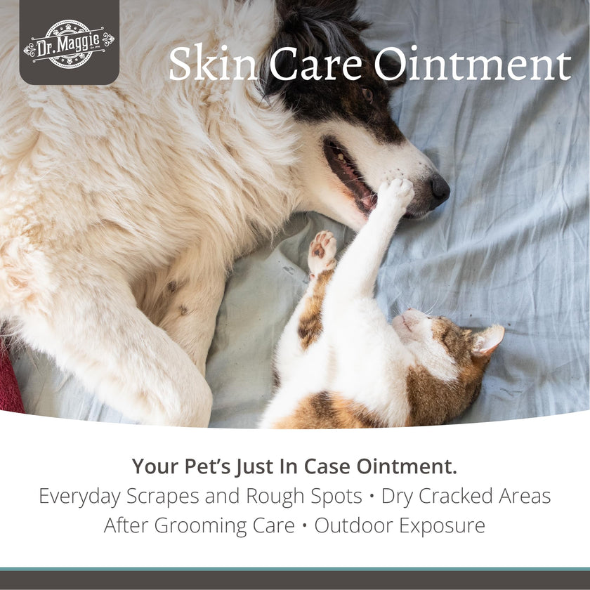 Dr. Maggie Skin Care Ointment for Cats and Dogs, 30g 🍁 All In One Marketplace Canada