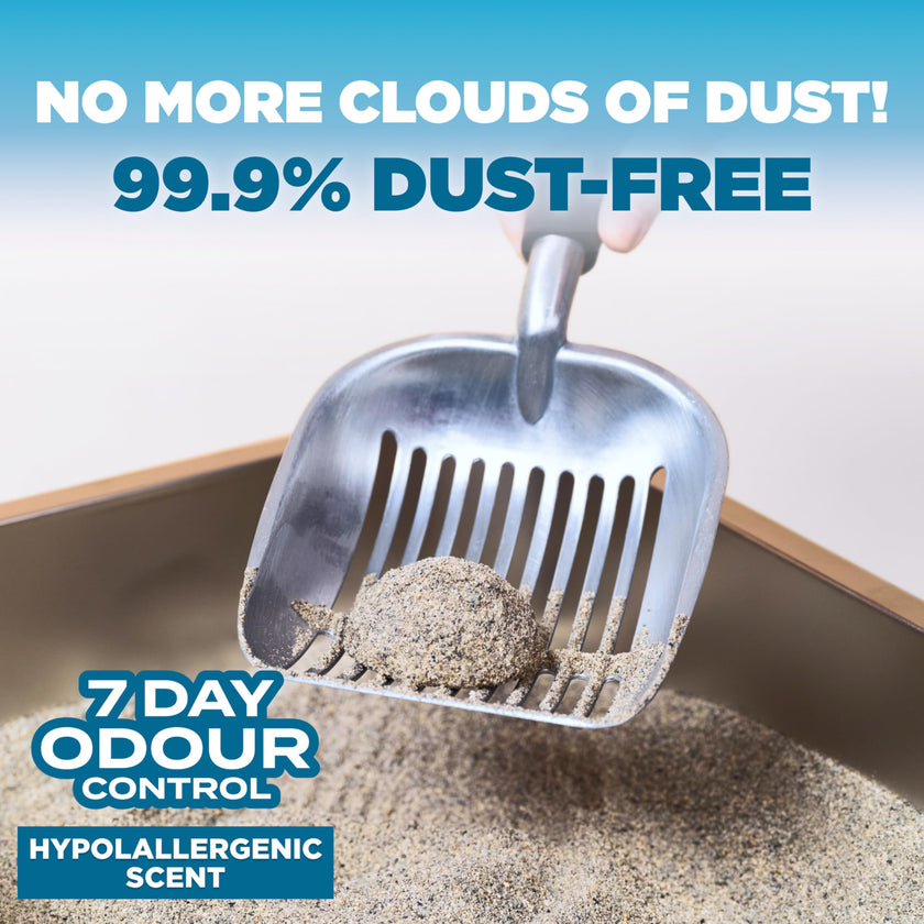 ARM & Hammer Cloud Control Clumping Cat Litter, Multi Cat, 6.35kg – 7 Day Odour Control, 99.9% Dust Free, Hypoallergenic Light Scent 🍁 All In One Marketplace Canada