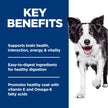Hill's Science Diet Senior 7+ Senior Vitality Chicken & Rice Recipe Dry Dog Food 9.8 kg Bag 🍁 All In One Marketplace Canada