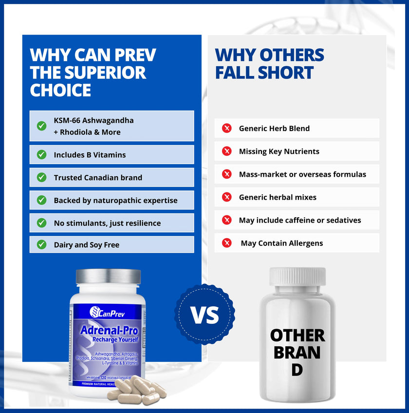 CanPrev Adrenal-Pro Recharge Yourself, 120 Vegan V-Caps with Siberian Ginseng, 30-Day Supply with Ashwagandha, Astragalus, L-Tyrosine, B5 & B6 - Supports Energy Levels, Physical and Mental Vitality 🍁 All In One Marketplace Canada