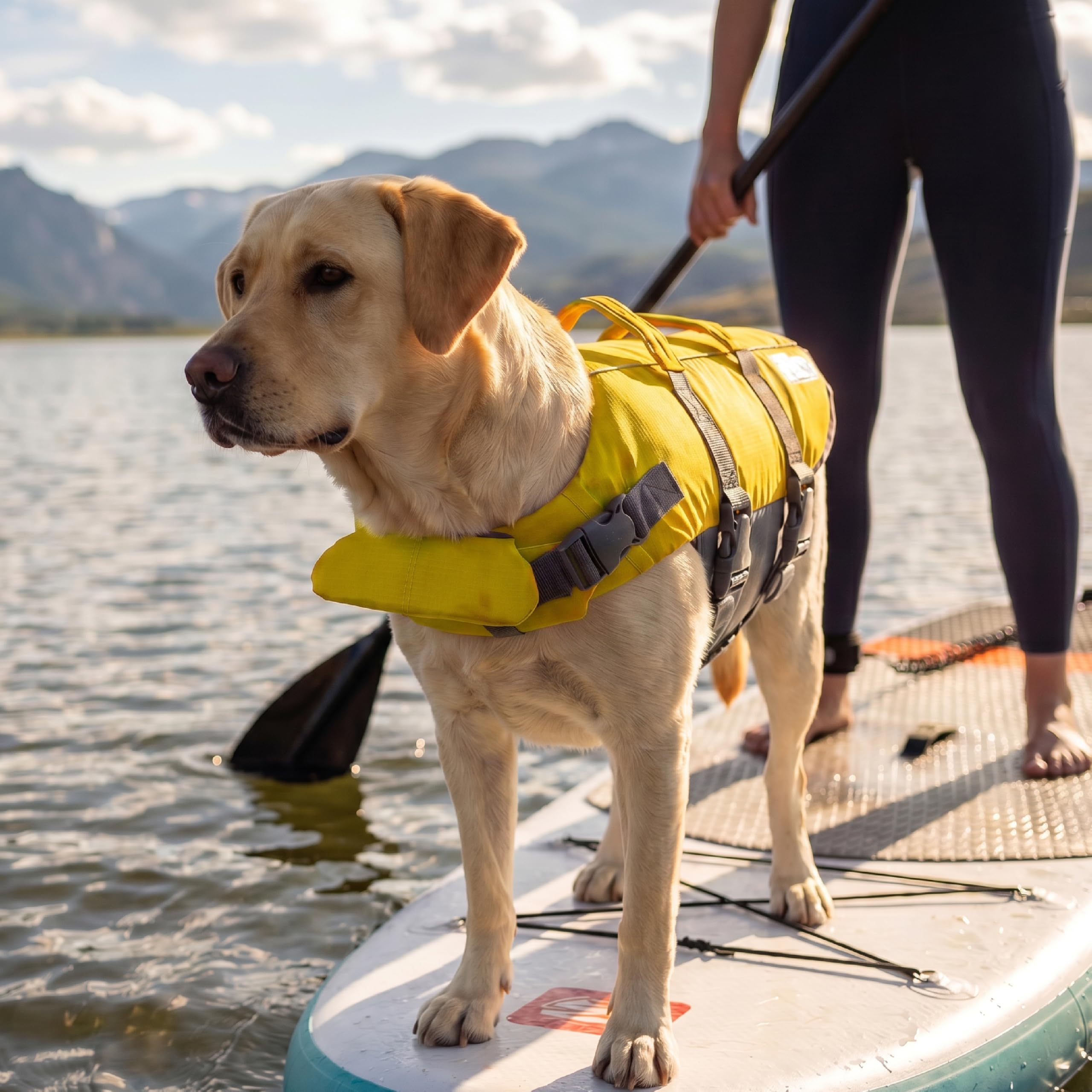 Outward Hound Granby Splash Dog Life Jacket with Handle, Reflective Floating Vest for Swimming & Boating, Maximum Buoyancy, All Skill Levels, Large Dogs (28–32