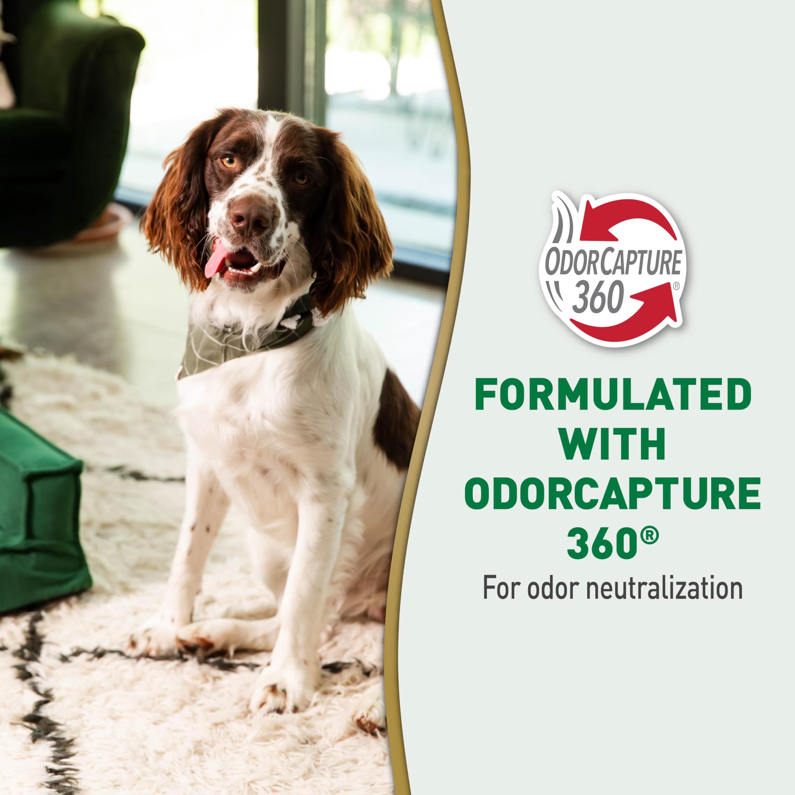 Nature's Miracle Urine Destroyer Plus For Dogs With Flip & Go Sprayer, 64 Ounces, Enzymatic Formula For Dogs Powers Out Tough Dog Urine Messes And Yellow, Sticky Residue 🍁 All In One Marketplace Canada