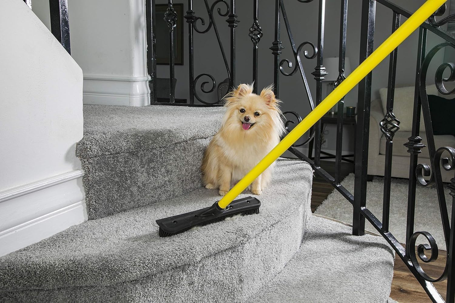 FURemover Broom SW-250I-AMZ-6, Pet Hair Removal Tool with Squeegee & Telescoping Handle That Extends from 3-5', Black & Yellow,1 Count (Pack of 1) 🍁 All In One Marketplace Canada