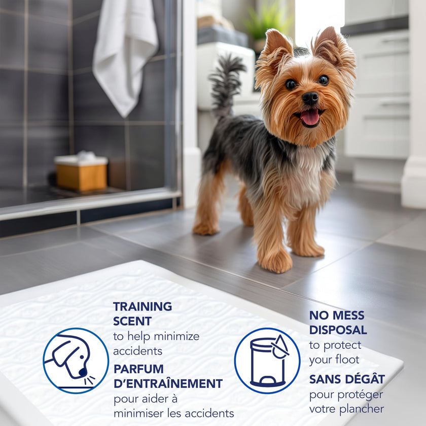 Scott Pet Guard Dog Pads, 12 Hour Odor Control, Large, 22