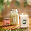 Yankee Candle Scented Candle, Sage & Citrus, Original Large Jar Candle, 110-150 Hours of Burn Time, 22 oz. 🍁 All In One Marketplace Canada