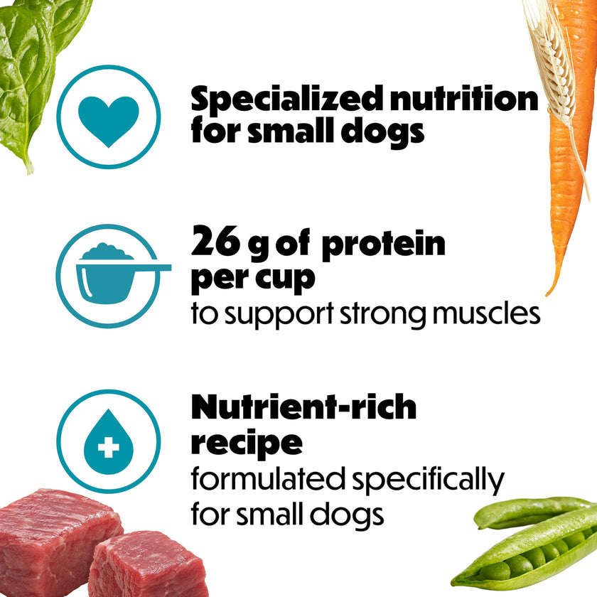 Beneful IncrediBites Dry Dog Food for Small Dogs, Real Beef - 7 kg Bag 🍁 All In One Marketplace Canada