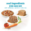 Beneful Incredibites Wet Dog Food, Real Beef Variety Pack (24 Pack) 🍁 All In One Marketplace Canada