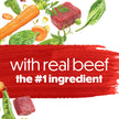 Beneful Originals Dry Dog Food, Real Beef - 7 kg Bag (1 Pack) 🍁 All In One Marketplace Canada