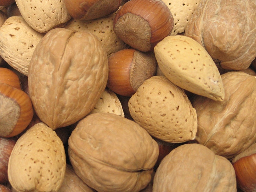 Yupik Mixed Nuts In Shell, 1kg, A Blend of Walnuts, Hazelnuts & Almonds, Raw, Vegan, Kosher, Gluten Free, Salt Free, Cholesterol Free, High in Fiber 🍁 All In One Marketplace Canada
