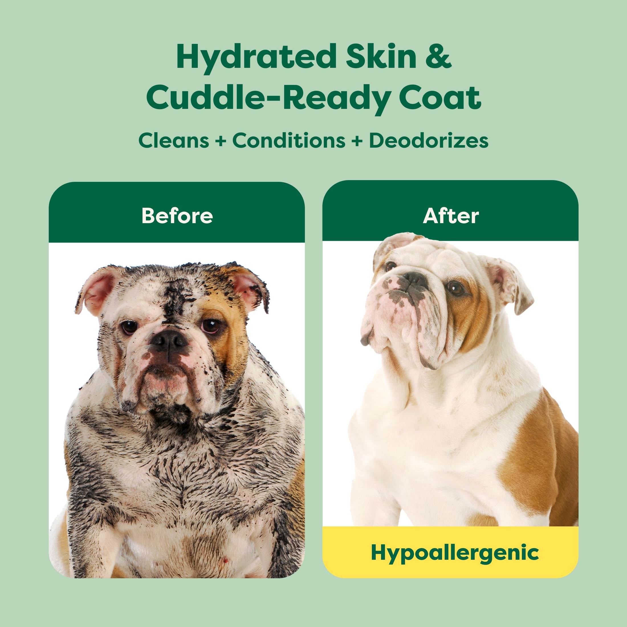 Earth Rated (A Canadian Company), 3-in-1 Soothing Dog Shampoo and Conditioner, Deodorizing Oatmeal Shampoos for Dogs and Puppies, Great for Smelly Pets, White Tea and Basil Scent, 473 ml 🍁 All In One Marketplace Canada