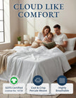 Lane Linen 100% Organic Cotton Queen Sheet Set, 4-Piece Percale Bed Sheets for Queen Bed - Soft, Breathable, Hypoallergenic, Deep Pocket Fits Mattress Up to 15