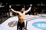 UFC: Ultimate Knockouts 8