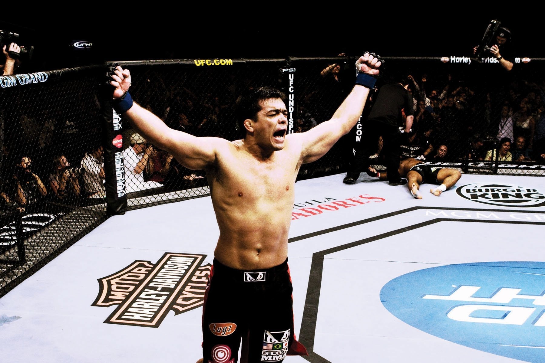 UFC: Ultimate Knockouts 8