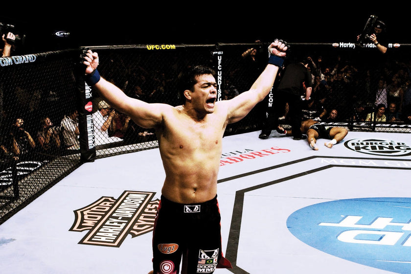 UFC: Ultimate Knockouts 8